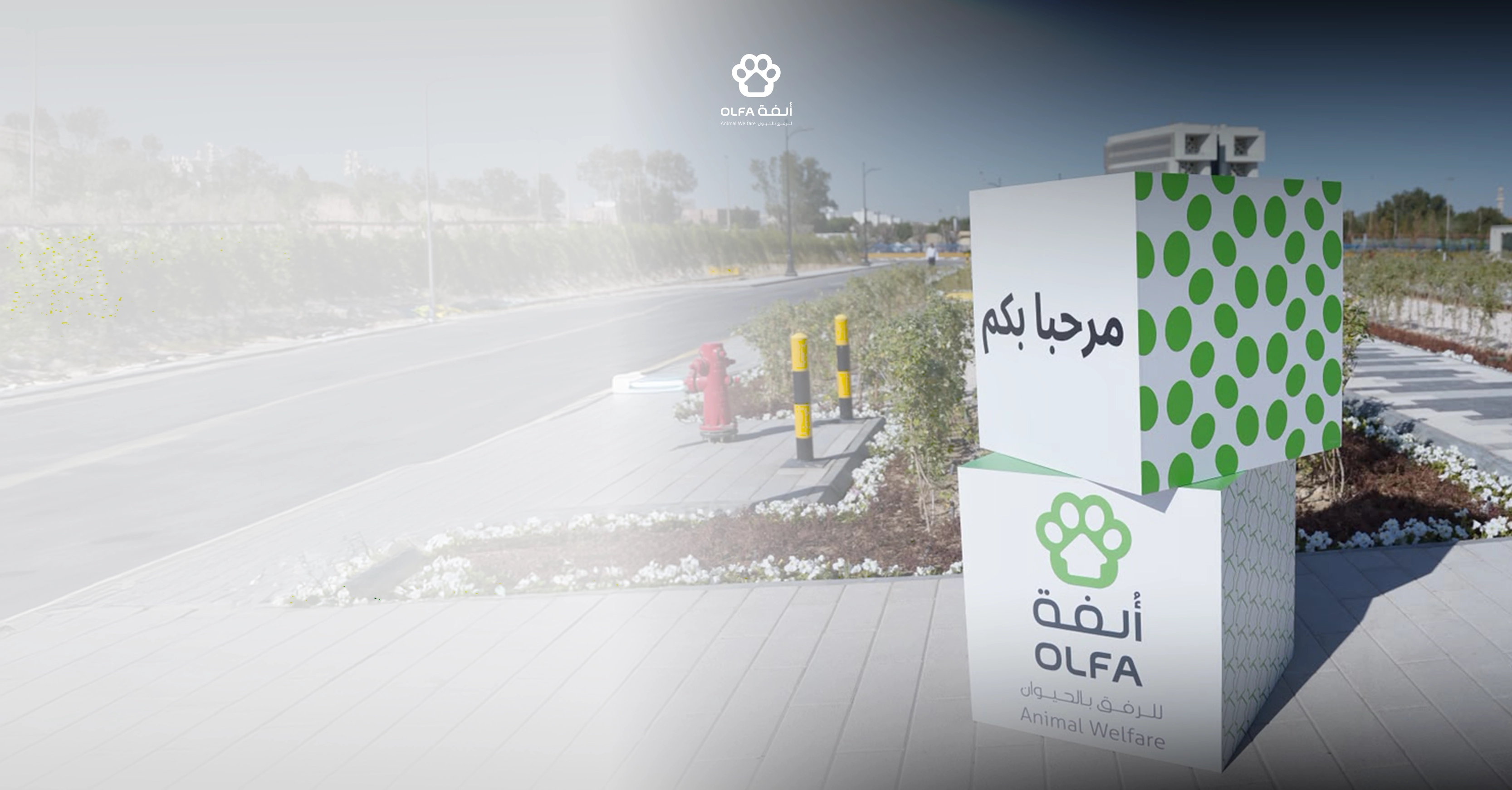 دور القطاع الخاص في الرفق بالحيوان: شراكة تصنع أثرًا مستدامًا